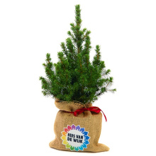 Mini kerstboom - Topgiving